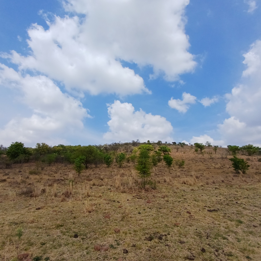 0 Bedroom Property for Sale in Lindequesdrif North West